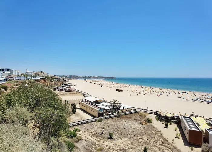 Daire Rocha Honey Glow Portimão